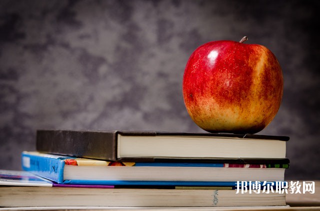 廣東哪里的職業學校能讀幼兒教育專業